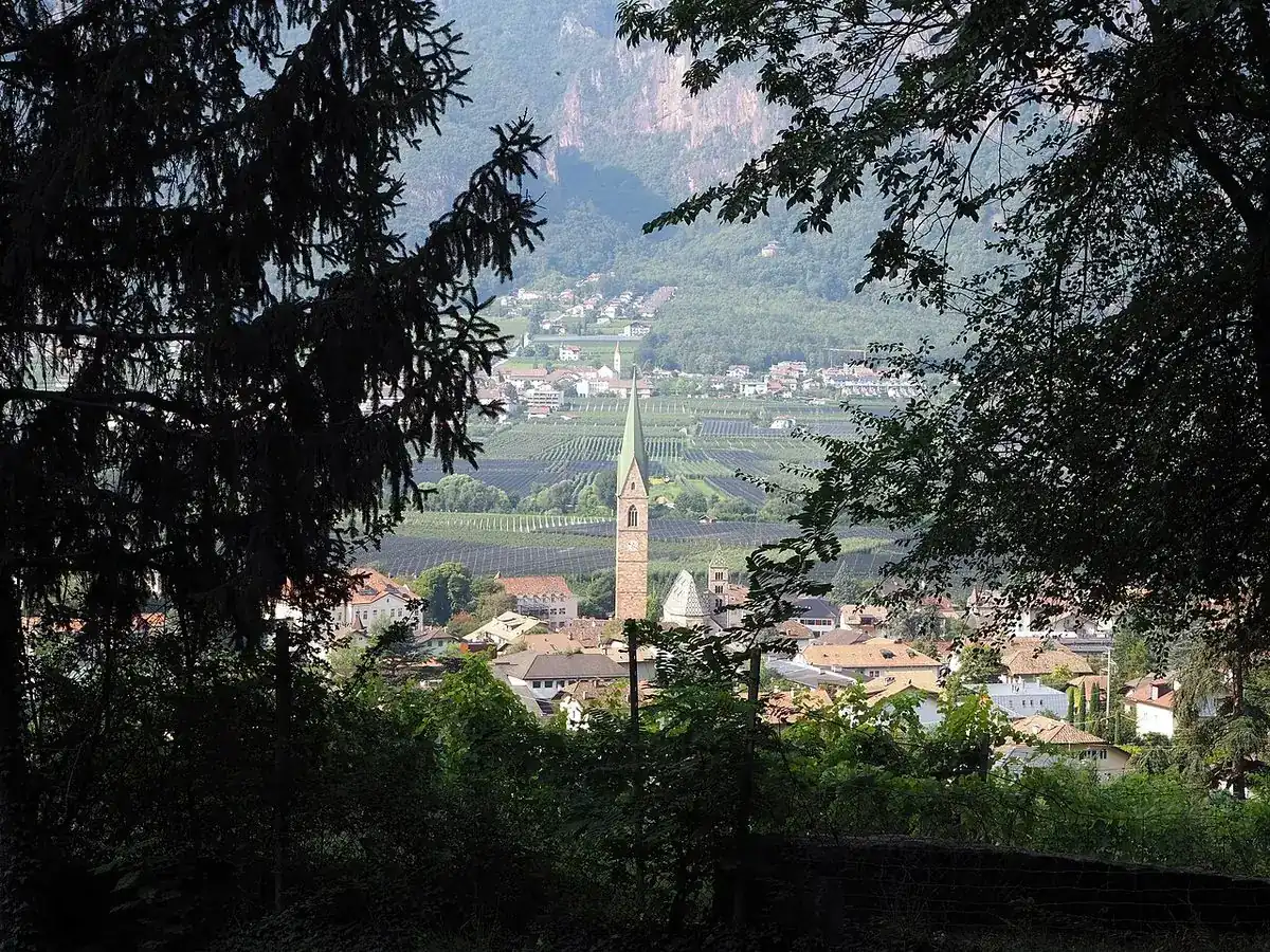 Stagione degli Asparagi di Terlano Trentino-South Tyrol Italy